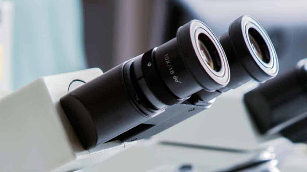 Microscope