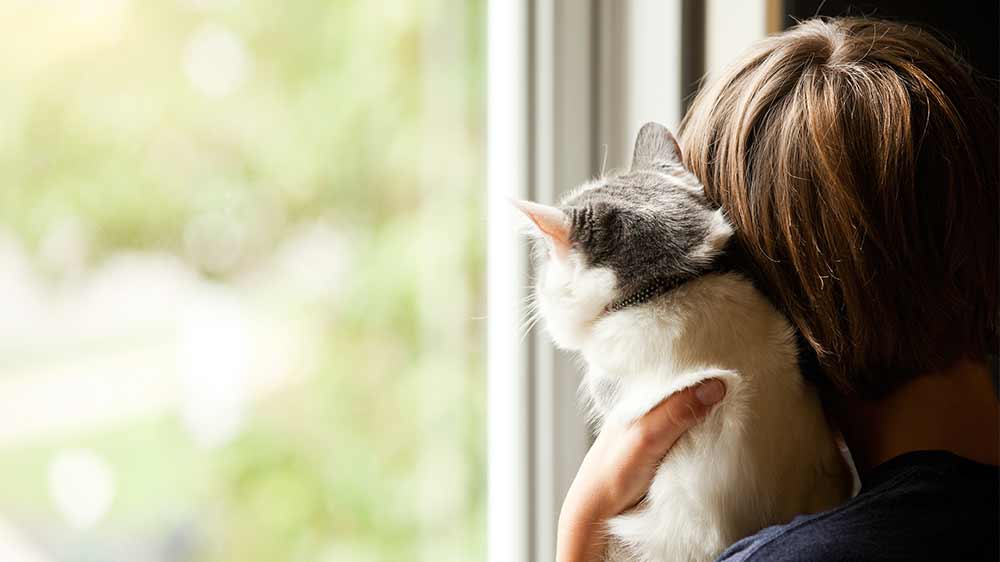 Boy holding kitten looking out a window